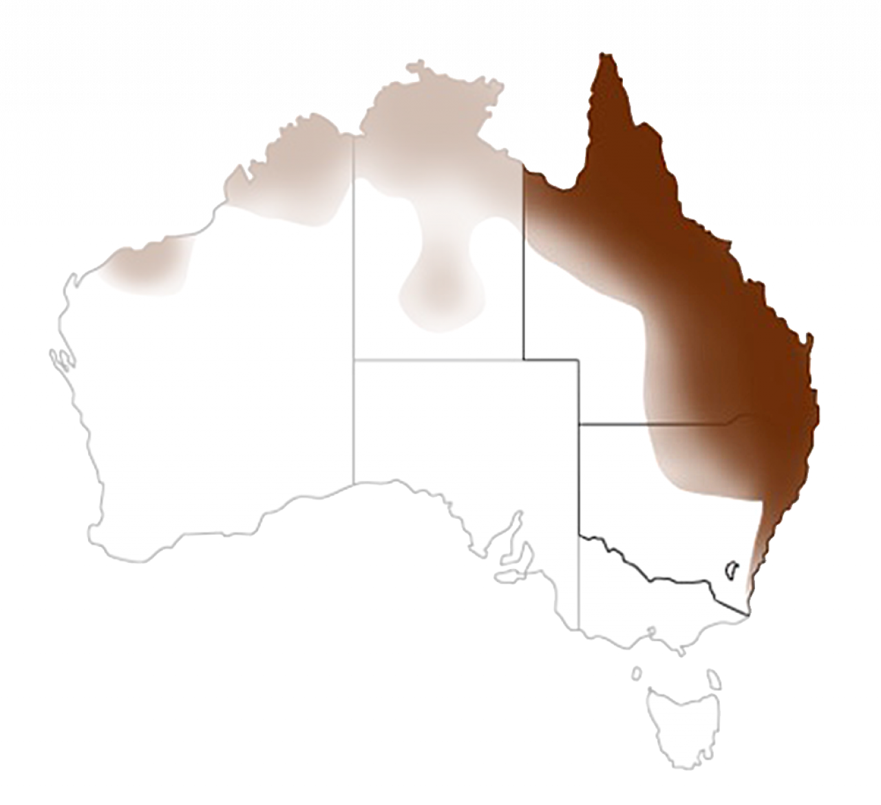 Combined-stingless-bee-distribution_1000px_QLDNSW.png#asset:207:lge